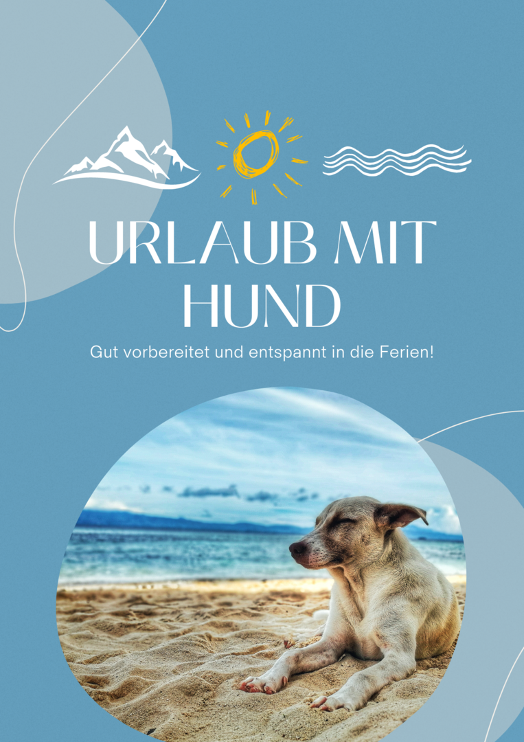 Shop vom hundecampus - hundecampus